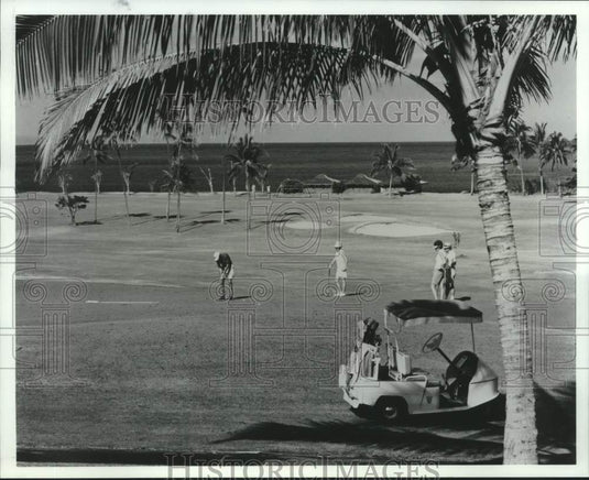 1985 Press Photo 72-par course on the island of Maui - nob75642- Historic Images