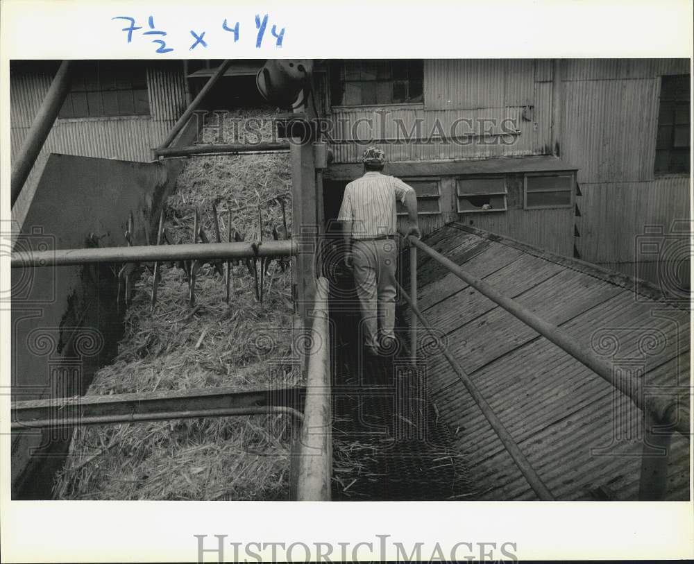 1990 Press Photo Sugar cane heads for mill at Leighton Sugar Mill in Thibodaux- Historic Images