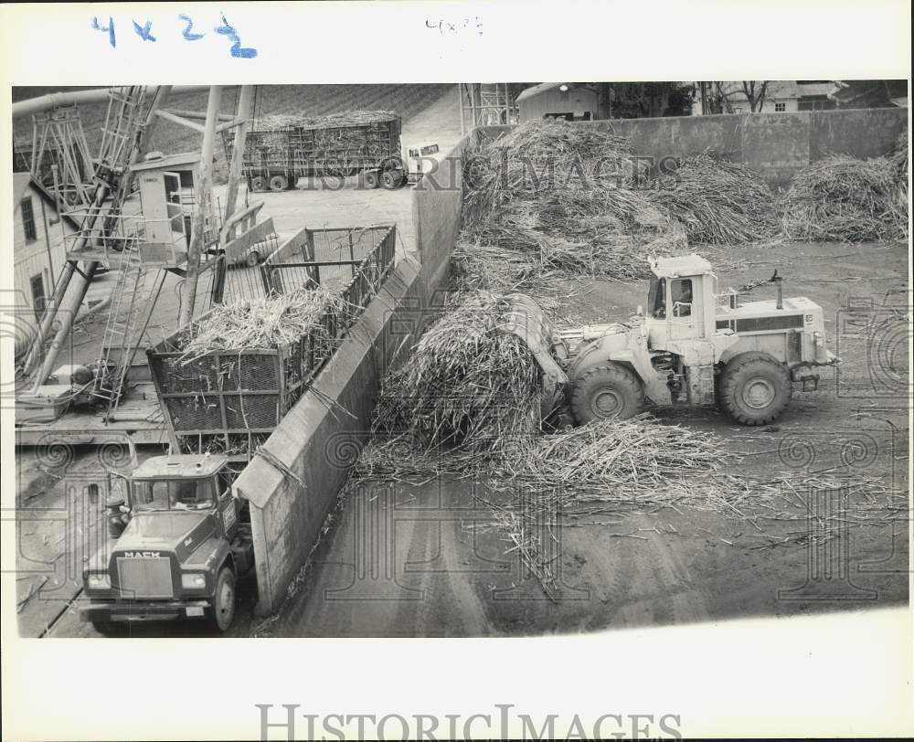 1990 Press Photo Trucks drop off load at the Leighton Sugar Mill, Thibodaux- Historic Images