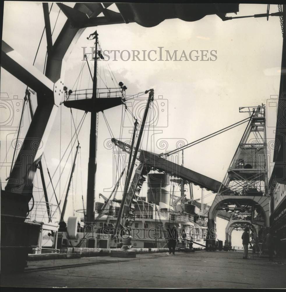 1956 Press Photo Transferring bananas from ship hold to United Fruit warehouse