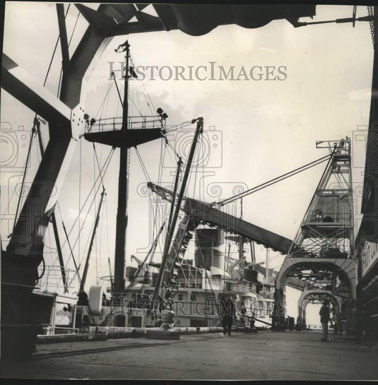 1956 Press Photo Transferring bananas from ship hold to United Fruit warehouse