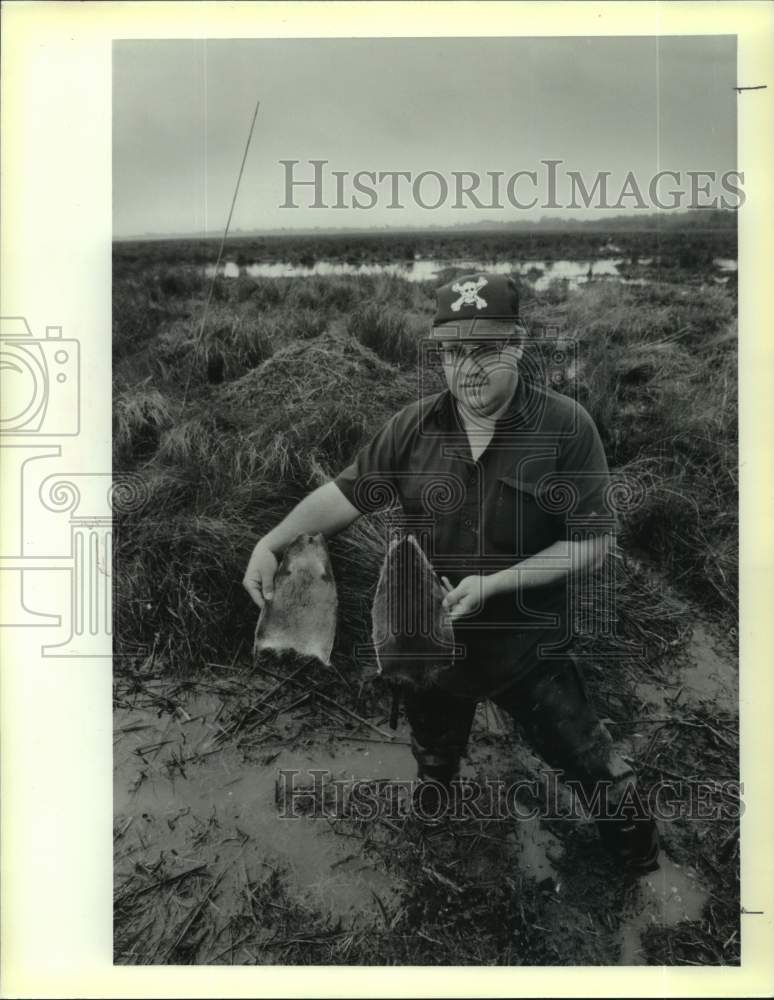 1970 Press Photo A man holds trapped muskrats- Historic Images