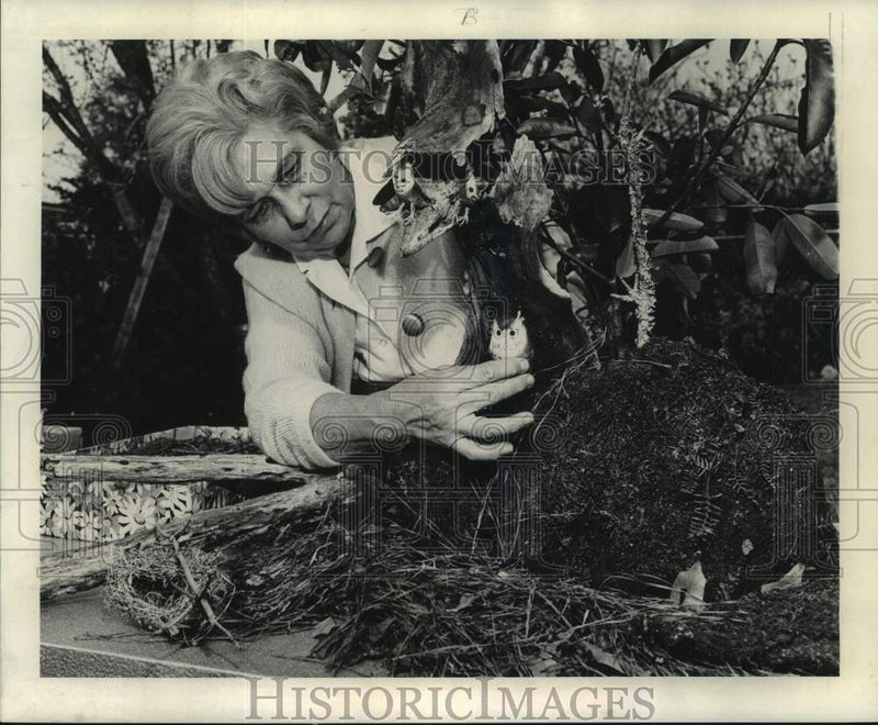Load image into Gallery viewer, 1969 Press Photo New Orleans-Mrs. Malcom G. Mundy making an owl exhibit
