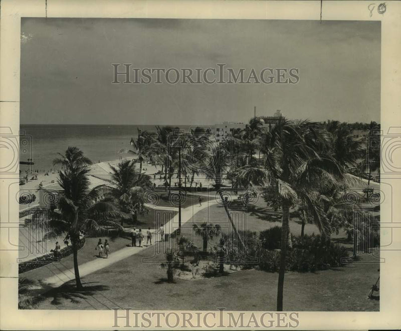 Load image into Gallery viewer, 1951 Press Photo Mild temperatures in beautiful Miami Beach - nob89026

