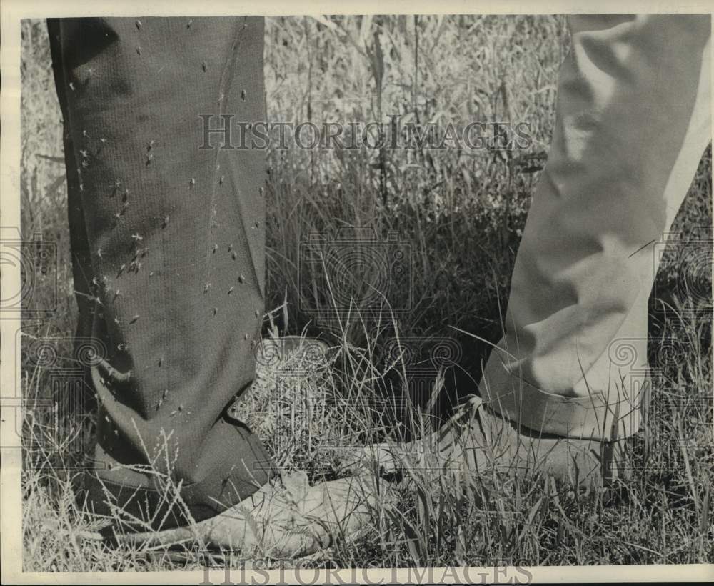 1963 Press Photo Mosquitoes prefer dark clothing, shun light material