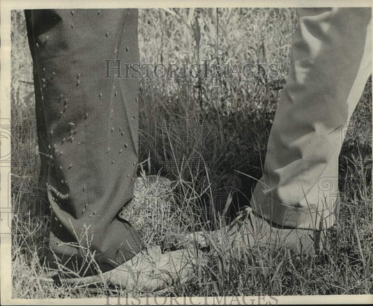 1963 Press Photo Mosquitoes prefer dark clothing, shun light material