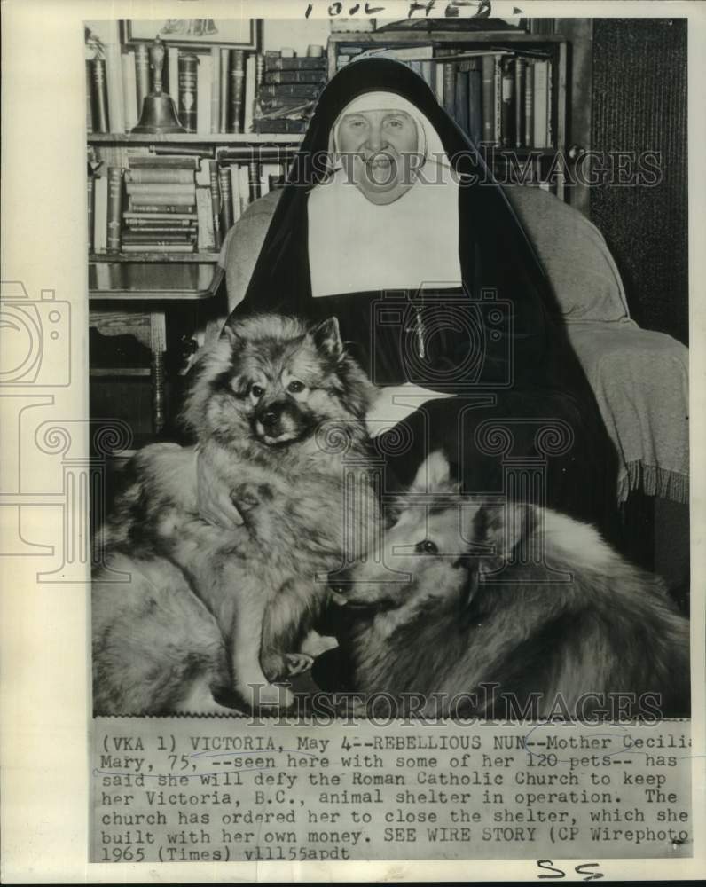 1965 Press Photo Mother Cecilia Mary with some of her pet at shelter in Victoria