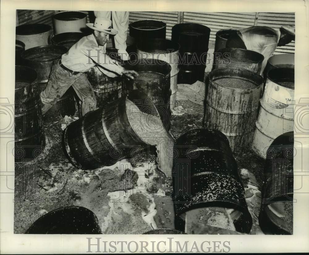 1954 Press Photo Sam Viola dumps another barrel of mash to add ankle deep mess