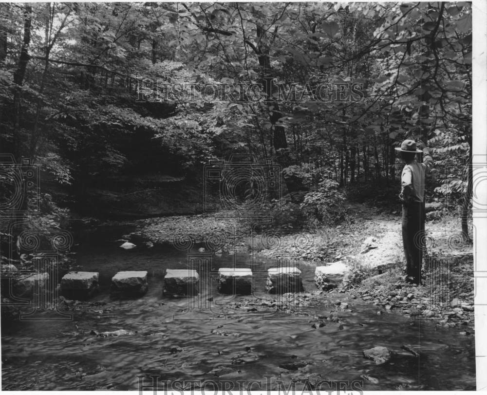 1959 Press Photo Park Ranger Surveys Creek Crossing Along Natchez Trace Parkway- Historic Images