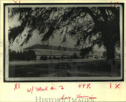 1915 Press Photo Horticultural Hall, built for 1884 World's Fair in New Orleans