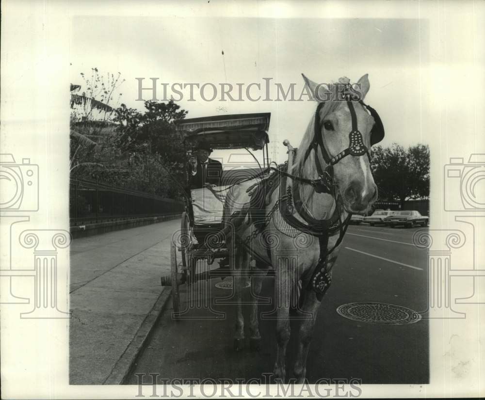 1968 Press Photo Horse drawn carriages in the Vieux Carre scene - nob94440
