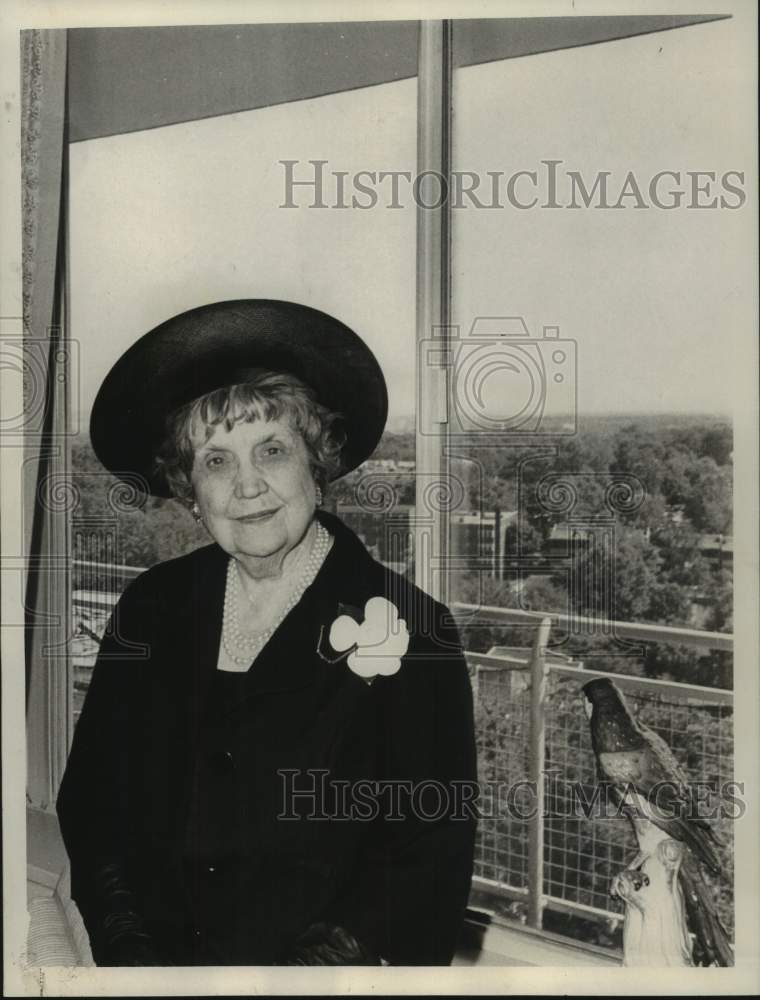 1964 Press Photo Perle Miesta, Party Planner For Democratic National Convention