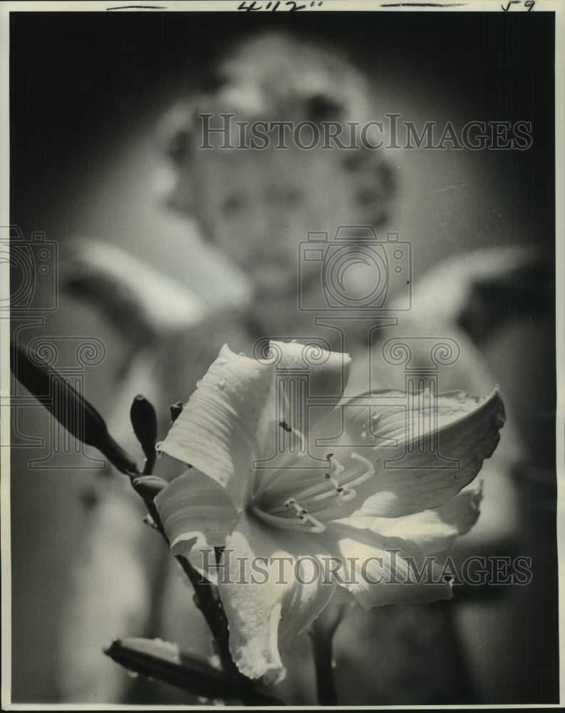 1993 Press Photo Angelic Statuary Gazes At White Lily Flower, Metairie Cemetery- Historic Images