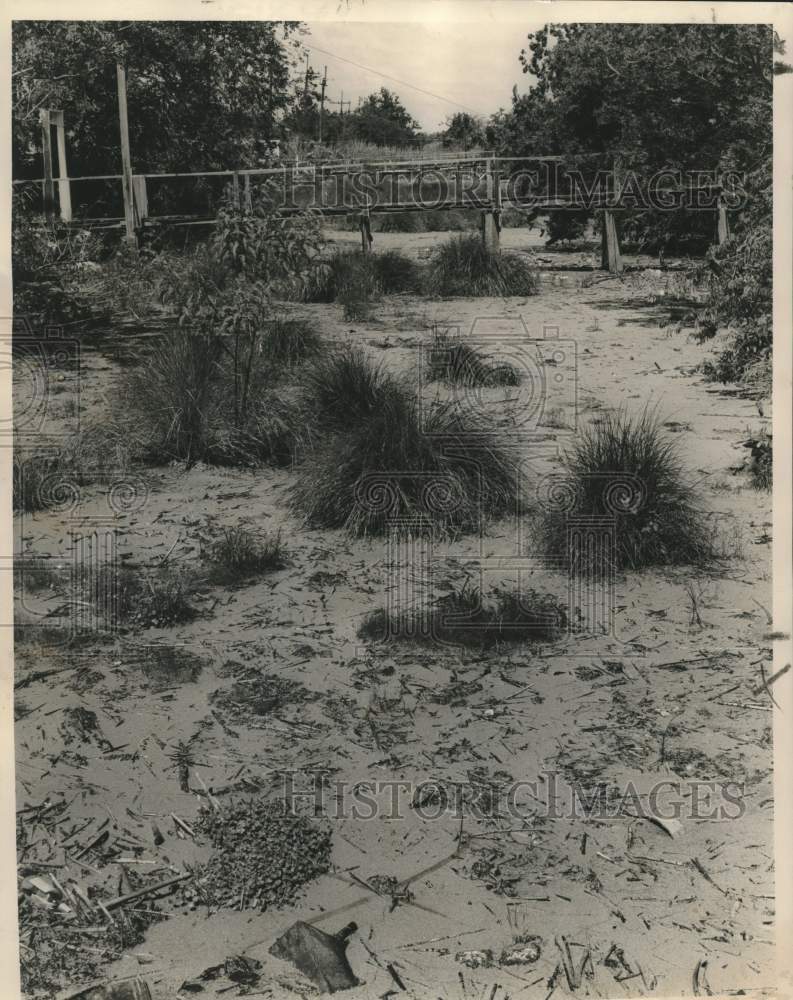 1961 Press Photo Neighbors claim nutria, rats, alligators & snakes live in canal