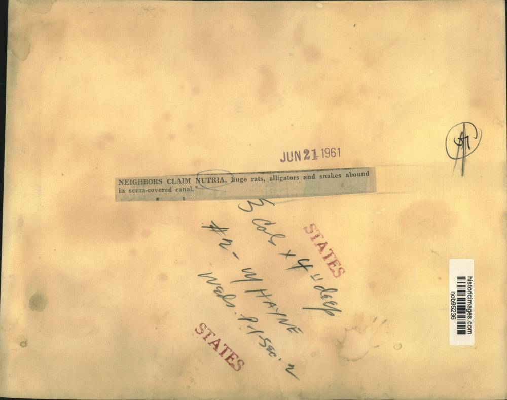 1961 Press Photo Neighbors claim nutria, rats, alligators & snakes live in canal