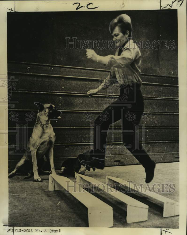 1969 Press Photo Trainer shows the dog how to jump- Historic Images