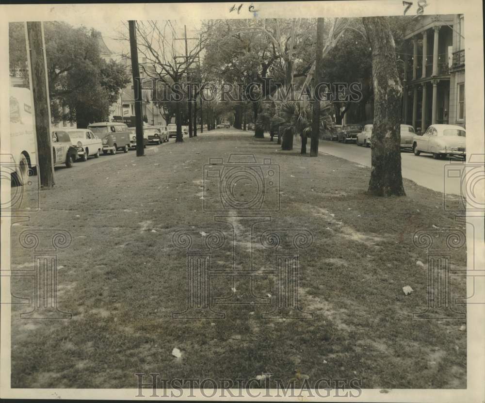 1960 Press Photo Grassy Esplanade Avenue Neutral Ground is progress sign