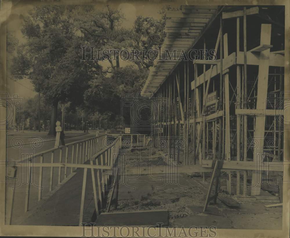 Press Photo View of Oak Trees- Historic Images