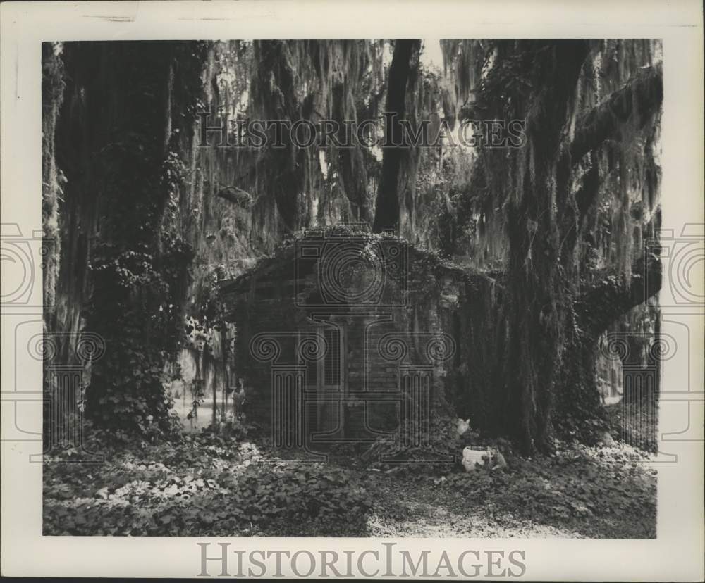 1965 Press Photo Oaklawn's original "butter house" surrounded with vines