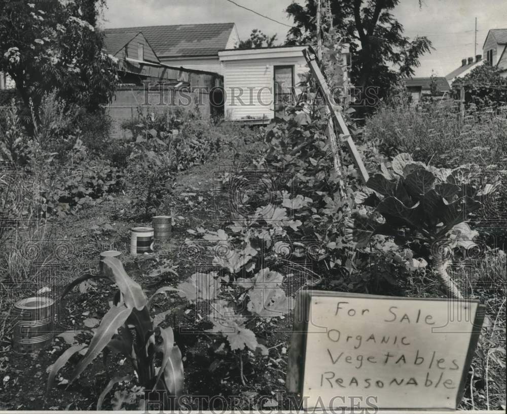 1971 Press Photo Organic garden at the backyard of Donna Tragus in New Orleans- Historic Images