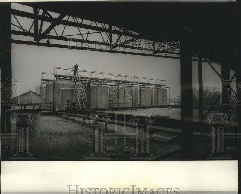 Load image into Gallery viewer, 1975 Press Photo Beer stored in outside tanks - nob97885
