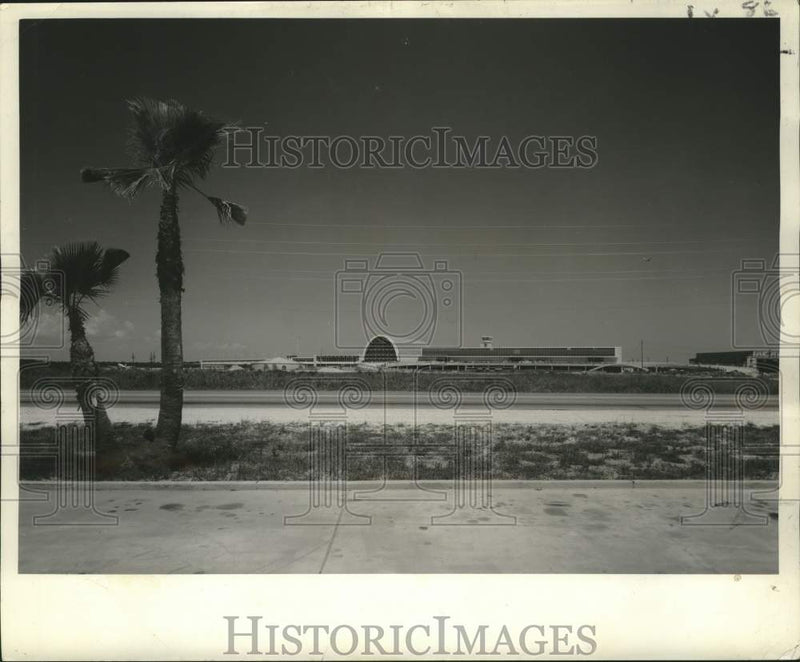 Load image into Gallery viewer, 1959 Press Photo Palm Trees Set Off New Terminal, Moisant International Airport
