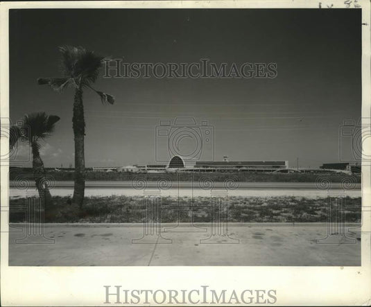 1959 Press Photo Palm Trees Set Off New Terminal, Moisant International Airport