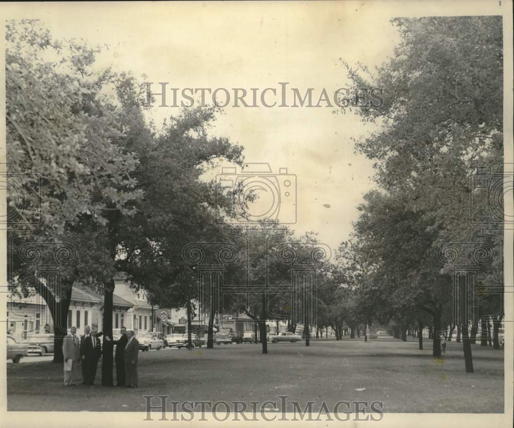 1961 Press Photo Mayor Schiro, City Officials Mark Trees To Save, New Orleans