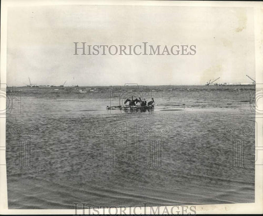 1970 Press Photo Brown Pelicans Float On Debris In Gulf Of Mexico - nob99574