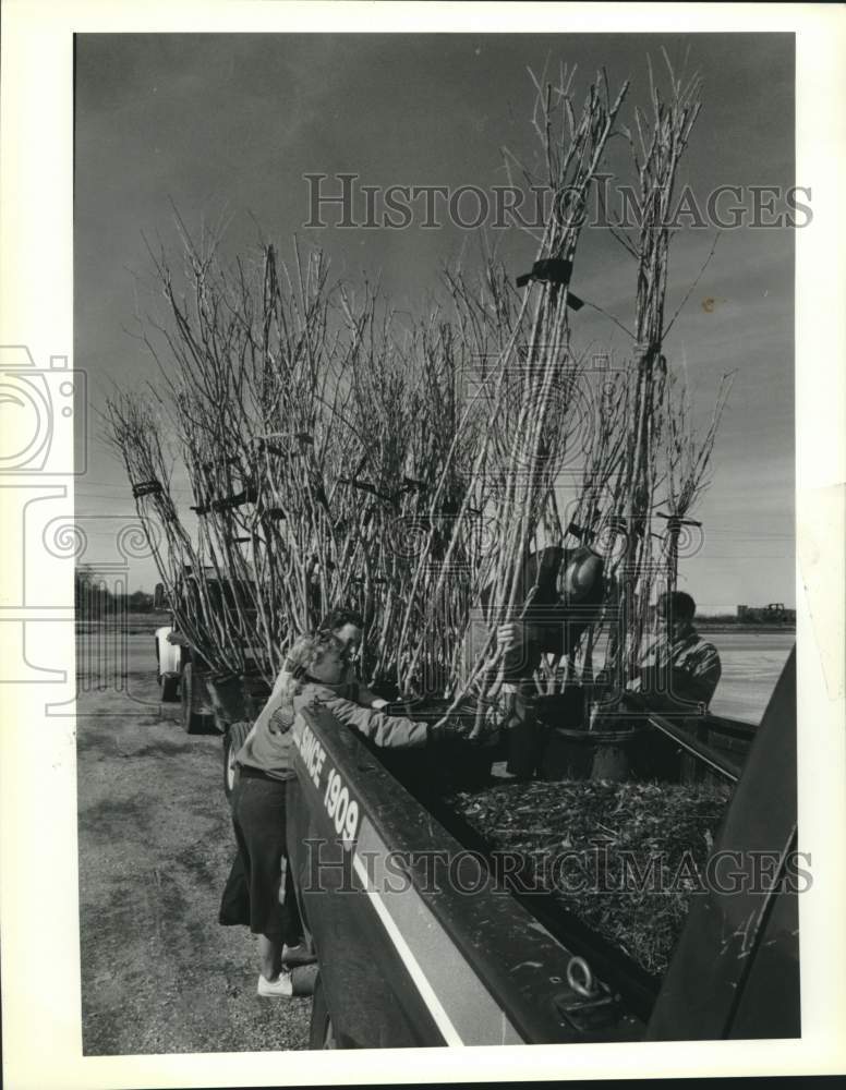 1992 Press Photo Preparations for planting of trees along Paris Road- Historic Images