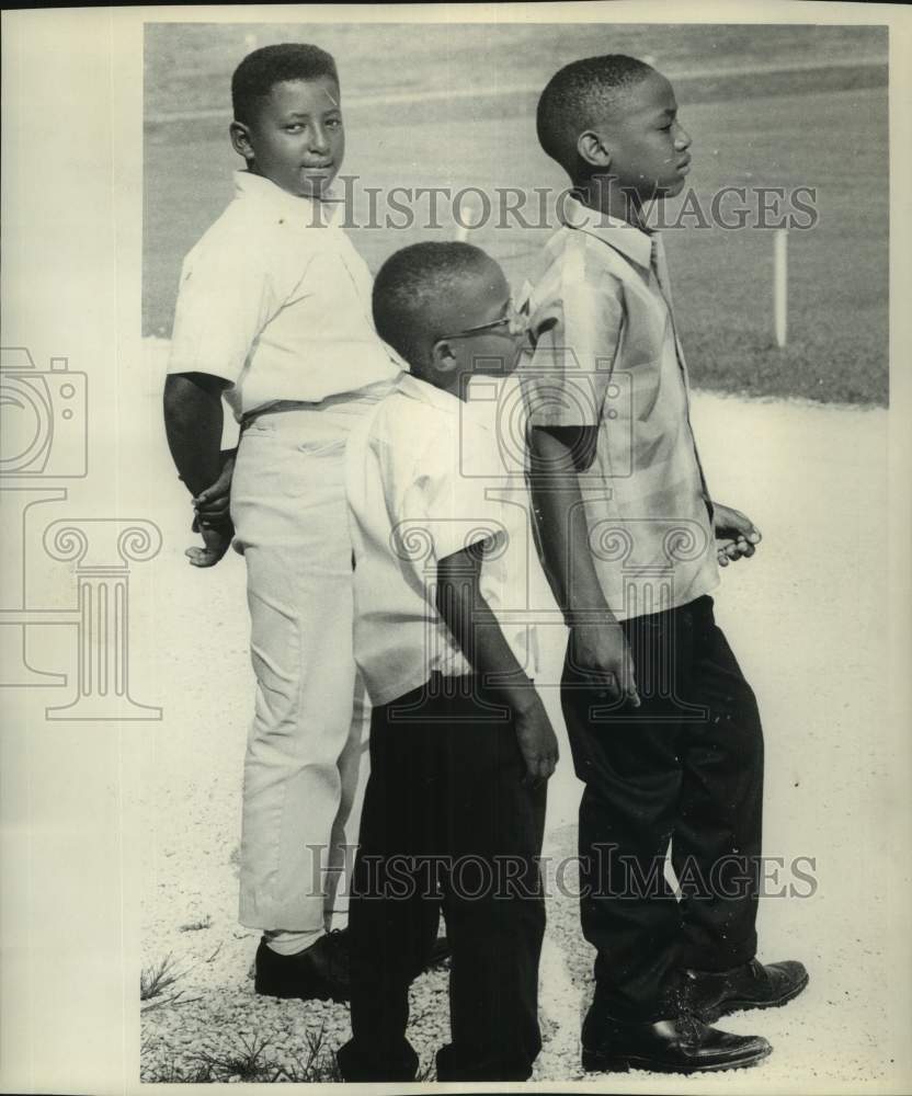 1966 Press Photo Three Boys, Woodlawn - noc03056