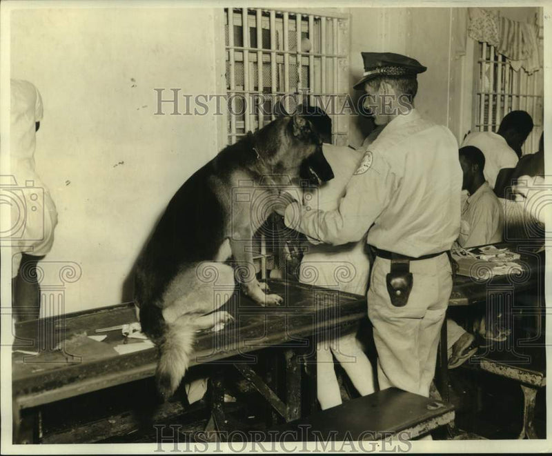 Load image into Gallery viewer, 1964 Press Photo Deputy Leroy Benton with dog in prison, Louisiana - noc03377
