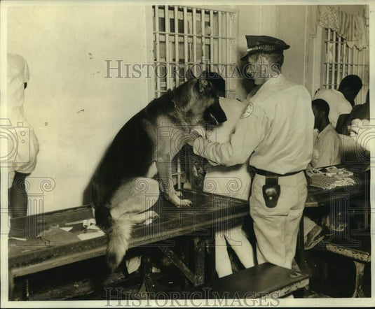 1964 Press Photo Deputy Leroy Benton with dog in prison, Louisiana - noc03377