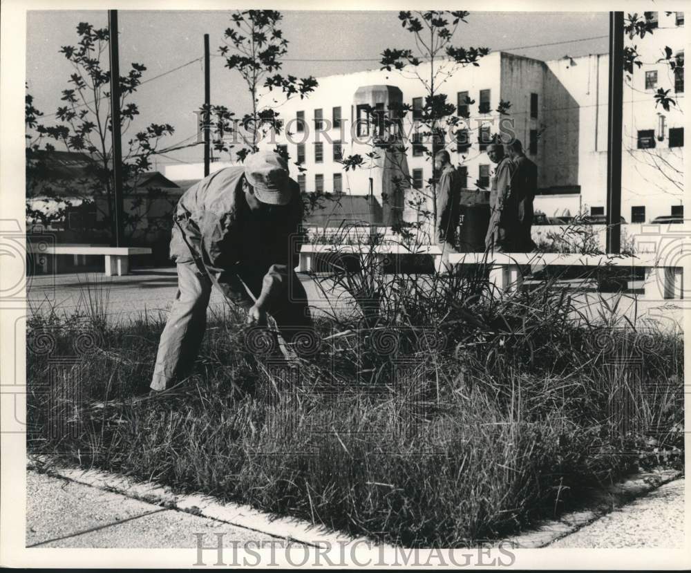 1968 Press Photo Landscaper in police complex courtyard in Louisiana - Historic Images