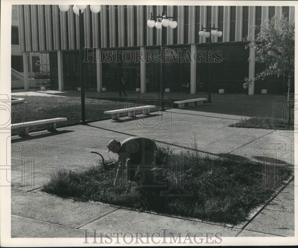 1968 Press Photo Landscaper at New Orleans police complex courtyard - noc05571