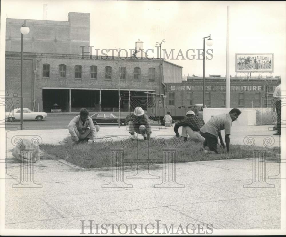 1968 Press Photo Park workers cut weeds at Police building in Louisiana