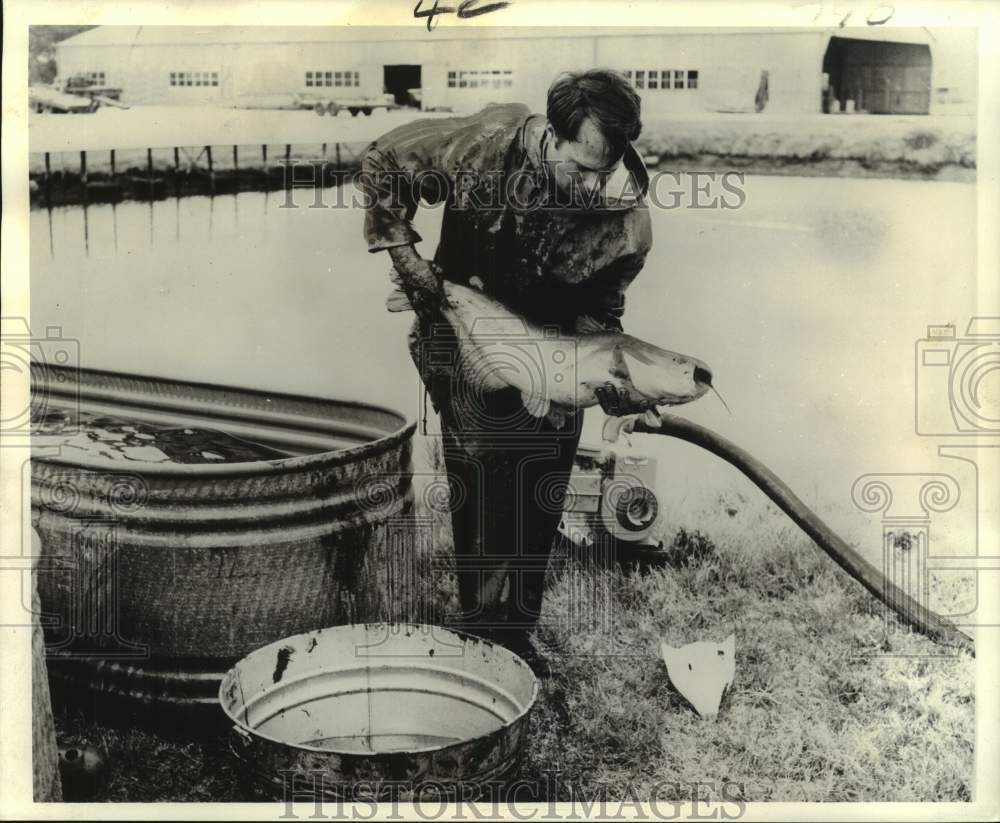 1974 Press Photo W. Guthrie Perry, fisheries biologist, with brood catfish - Historic Images