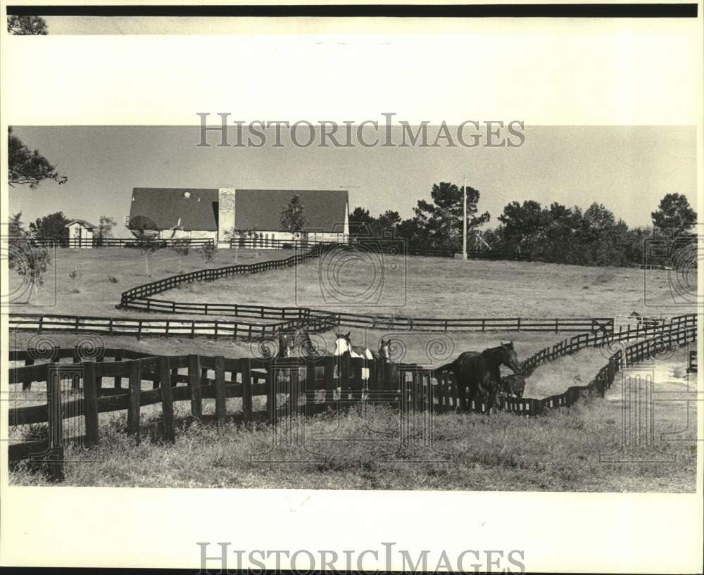 1985 Press Photo Horses running though pasture, Poplarville, Mississippi- Historic Images