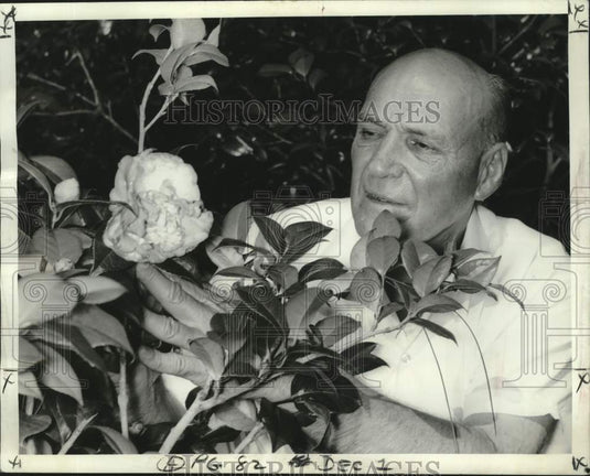 1968 Press Photo Al Powell "The Camellia Man" admiring an early camellia bloom