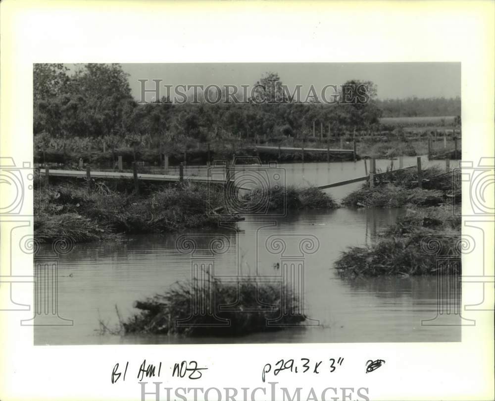 1993 Press Photo Christmas trees put in canal to prevent erosion, Bayou LaTaur- Historic Images