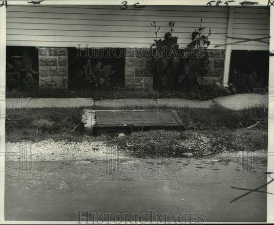 1967 Press Photo Covered Catch Basin at Treasure Street, New Orleans - noc12228