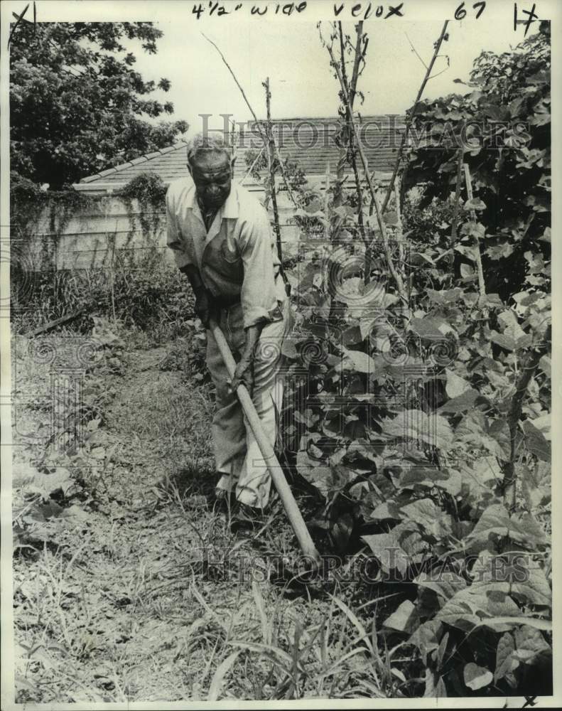 1974 Press Photo Whitney Pierre hoes his garden in New Orleans - Historic Images