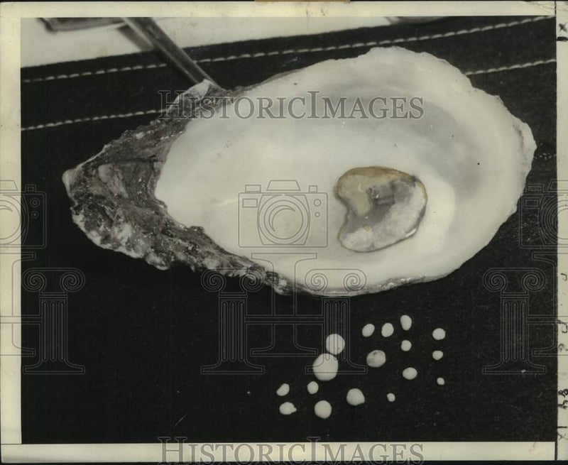 Load image into Gallery viewer, 1949 Press Photo Pearls found in oyster shell - noc16741
