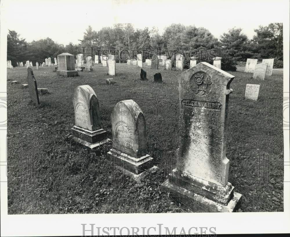 1979 Press Photo West Cemetery in Rowe, Massachusetts - noc19929