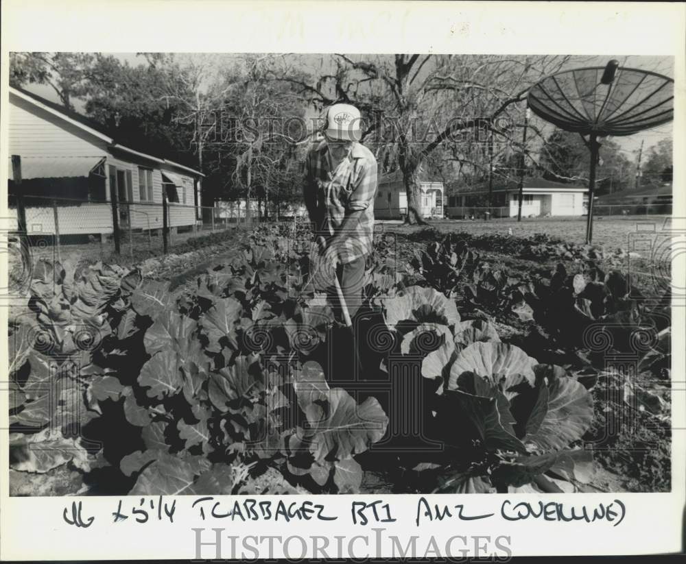 1988 Press Photo Al Pennington of Madisonville Weeds His Vegetable Garden