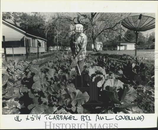 1988 Press Photo Al Pennington of Madisonville Weeds His Vegetable Garden