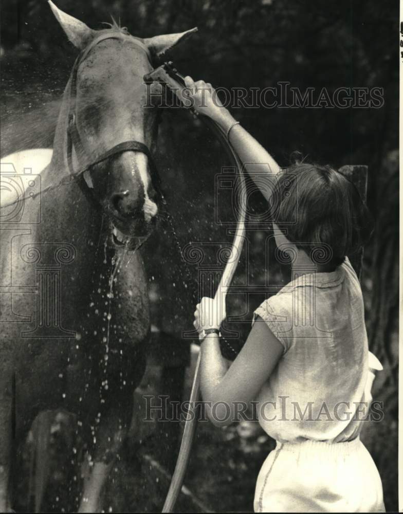 1980 Press Photo Cornelia Quinn cools Stairway to Heaven horse after workout- Historic Images