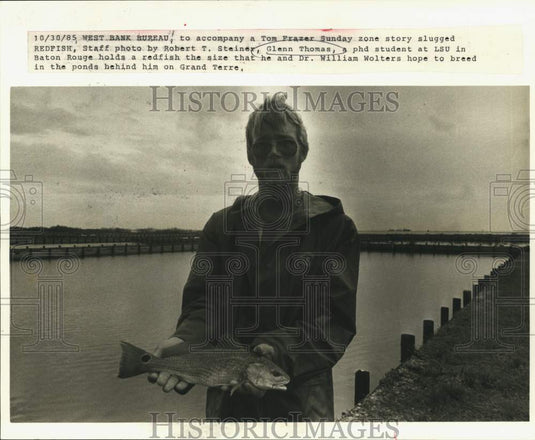 1985 Press Photo Glenn Thomas holds redfish the size he hopes to breed in ponds