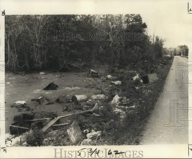 Load image into Gallery viewer, 1976 Press Photo Dumping grounds at St. Rose Road - noc24357
