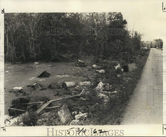 1976 Press Photo Dumping grounds at St. Rose Road - noc24357